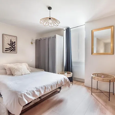 L'intime Angevine - Cocon - Parking Gratuit Appartement Angers